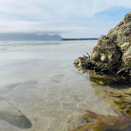 Apartamento Ca Mestral Espasante Playa - ático Con Vistas Al Mar Porto de Espasante