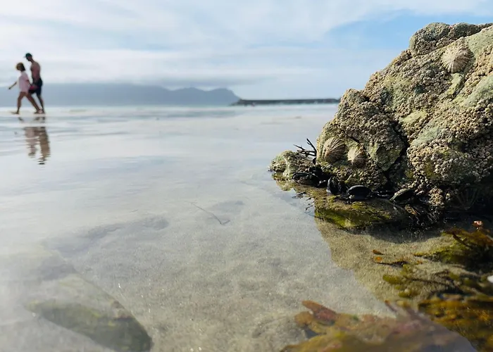 アパート Ca Mestral Espasante Playa - Atico Con Vistas Al Mar ポルト・デ・エスパサンデ
